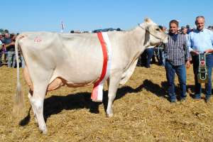 einsiedeln miss einsiedeln highlight heyli roland kaelin euthal