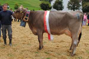 miss einsiedeln pete patty roland kaelin euthal