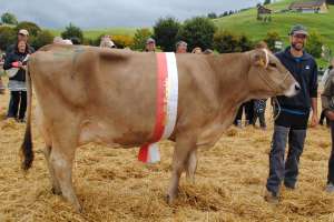 miss ob joel jacinta bernhard gisler einsiedeln