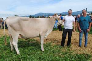 schoeneuter juenger rocky ascone zb deuber   mueller altendorf