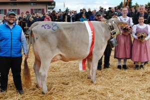 miss hoefe und schoeneuter mittlere haegar heya roger und armin schatt feusisberg