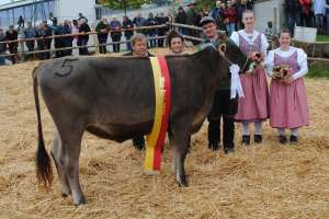 miss rind amir tamja karin haecki pfaeffikon