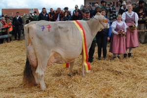 schoeneuter aeltere phil phoenix armin schatt feusisberg