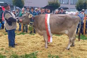 miss ob march delwin atrix urs reichmuth altendorf