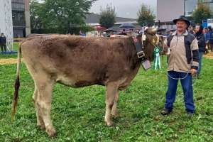 miss ob rind march bimbo lenka urs reichmuth altendorf