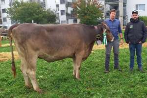 miss rind march biniam luna karl huber tuggen