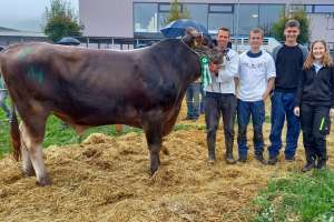 mister march brice absoluto richard ziegler galgenen