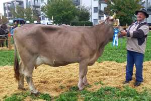 schoeneuter ob  aladin humeli urs reichmuth altendorf