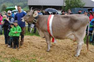 miss ob harlei humana theo fabienne marty goldau