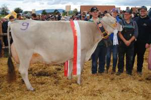 miss hoefe phil phoenix armin schatt feusisberg