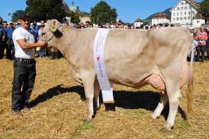 schwyz schoeneuter aeltere blooming biasca reto styger steinerberg