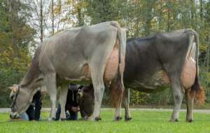 screenshot 20250123 facebook