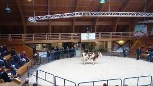 vermaktungshalle rbw bad waldsee