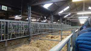 vermarktungshalle rbw