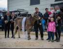 rinderchampion ob arcas flura  duss martin entlebuch