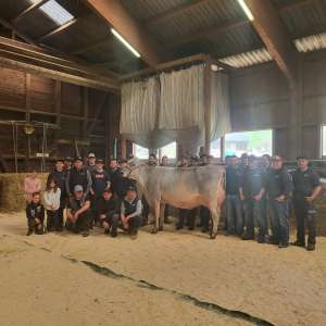 whatsapp image 2026 04 06 at.00.52