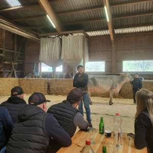 whatsapp image 2026 04 06 at.02.14