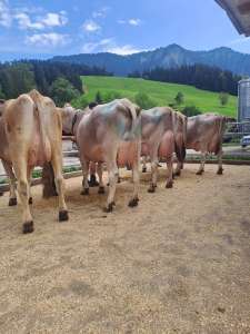 epxertenweiterbildung