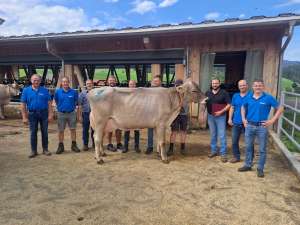 expertenweiterbildung bild