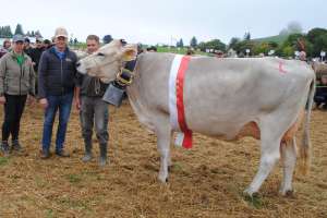 miss einsiedeln phil paris roland kaelin euthal