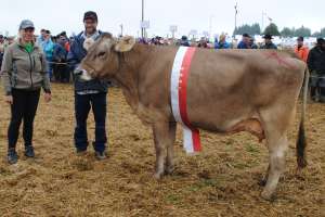 miss ob einsiedeln und schoeneuter joel jacinta bernhard gisler einsiedeln