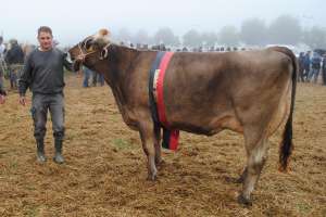 schoeneuter aeltere pete patty roland kaelin euthal  