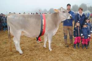 schoeneuter juengere dreamer caluna beat rohrer bennau
