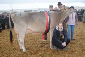 schoeneuter mittlere dreamer darling alois steiner alpthal