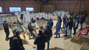 screenshot 20241203 facebook