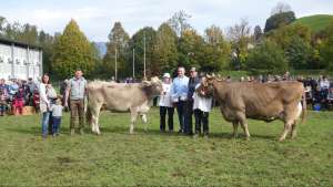 miss genetik bs undob