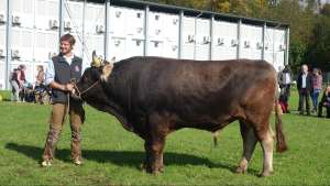 mister nw kalif frank fredi