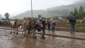 das war die viehschau sarnen 