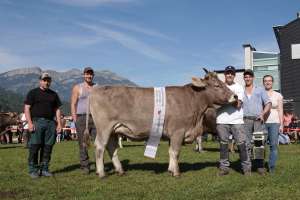 miss ob rind rubel rina von moos reto