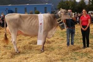 miss uri bs global view superstar hollywood von simon gisler  haldi b.schattdorf ch.1378.4650.9