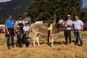 rindermiss bs weikiki ch 120.1700.5805.1 arnold manuel u. sandra  wilerstrasse  erstfeld