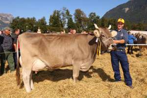 schoeneuter ob aeltere jorat jura von heinz planzer  buerglen ur ch.1376.5574.3