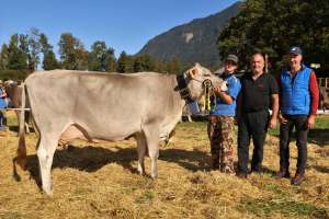 vize miss bs und schoeneutersiegerin aeltere buholzers bs calvin cameron von gisler urs  andermatt .1362.5656.9