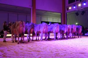 intermediatewahl schoeneuter bs