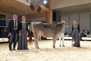 junior schoeneuter huge sg et elegance  