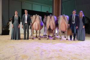 senior schoeneuter  v.l.n.r  anibal andrea  salomon sina  biver beverly