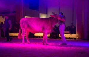 screenshot 20231217 facebook