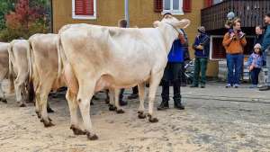 miss malters schachen haegar ingrid gebr. theiler emmenbruecke