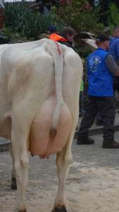 schoeneuter aeltere haegar ingrid