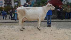 schoeneutersiegerin aeltere haegar ingrid