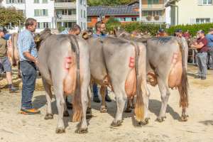 betriebscup.rang portmann fabian