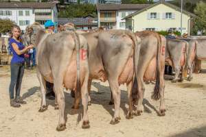 betriebscup.rang schwegler paul