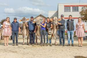 champions kuehe bs arnika donna havanna