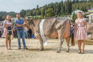 championwahl ob portmann fabian