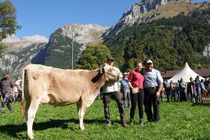 schoeneuter. 3. lakt. brice et ida  josef infanger engelberg  