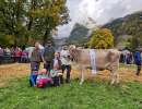 tagessiegerin halma 